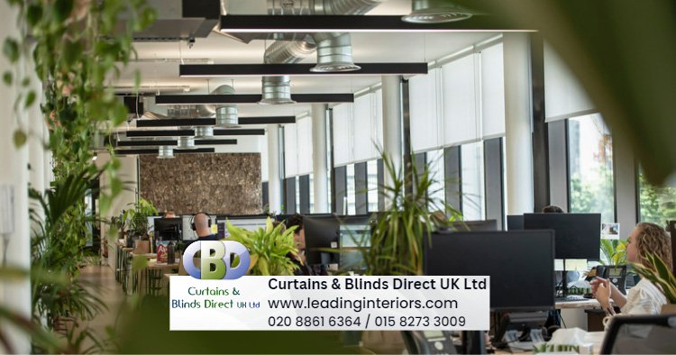 Sheer Roller Blinds 4