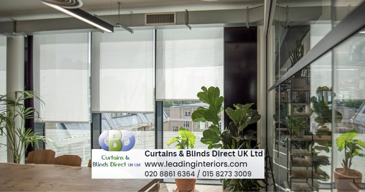 Sheer Roller Blinds 8